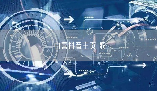 自营抖音主页 粉