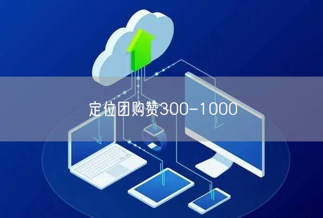 定位团购赞300-1000